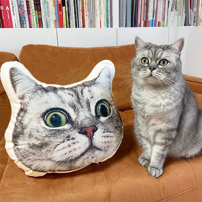 Custom Pet Cushion