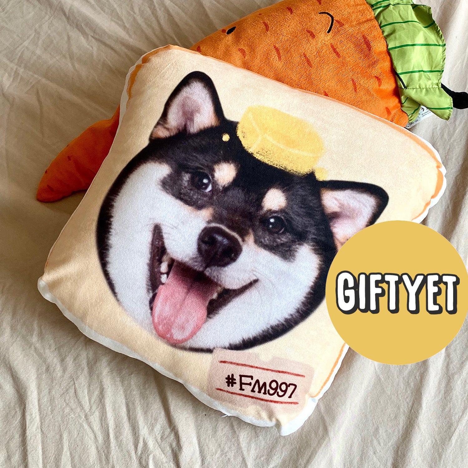 Custom Pet Cushion