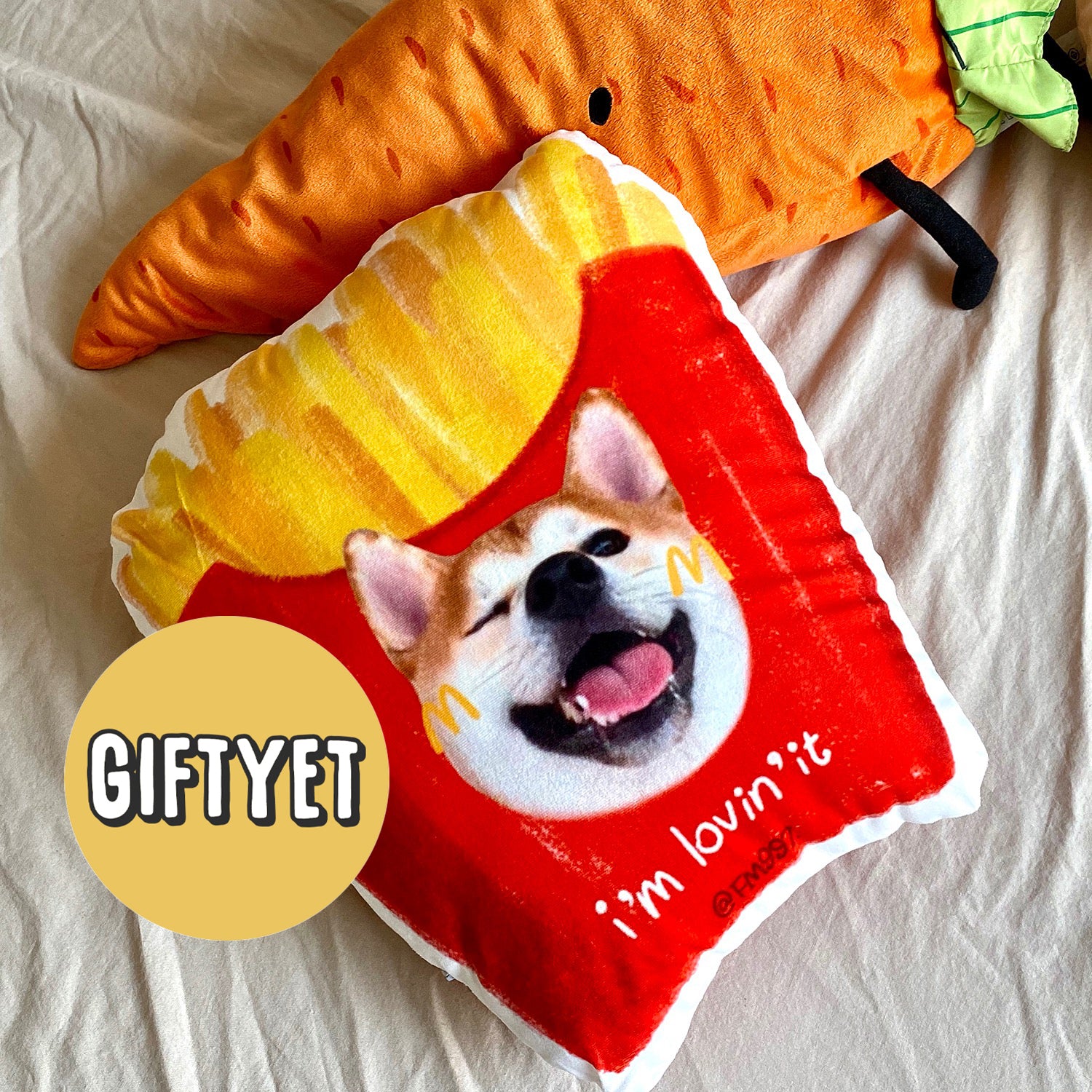 Custom Pet Cushion