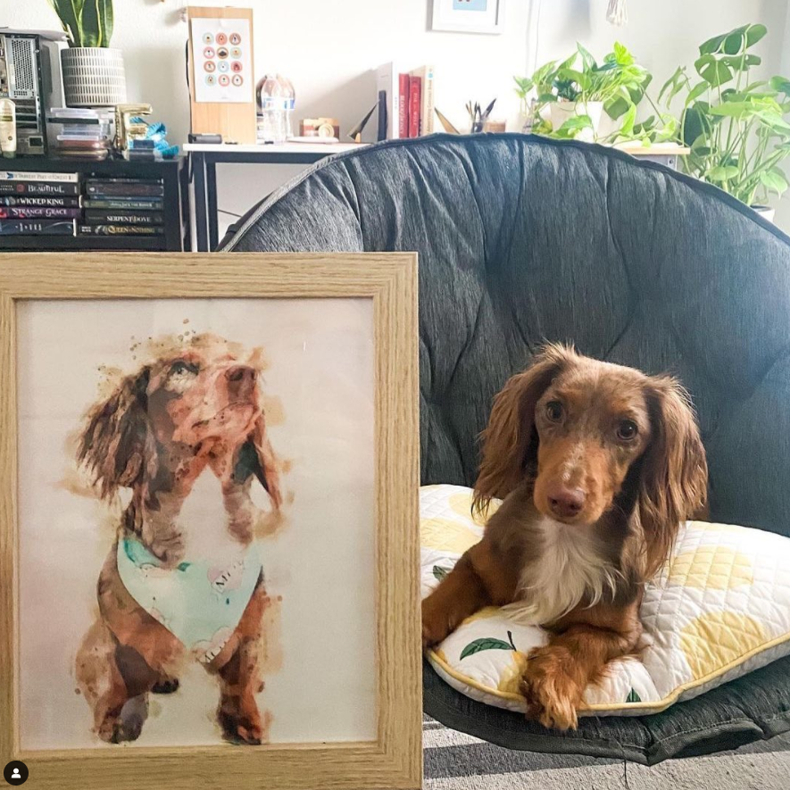 Custom Pet Portrait in Watercolour Style