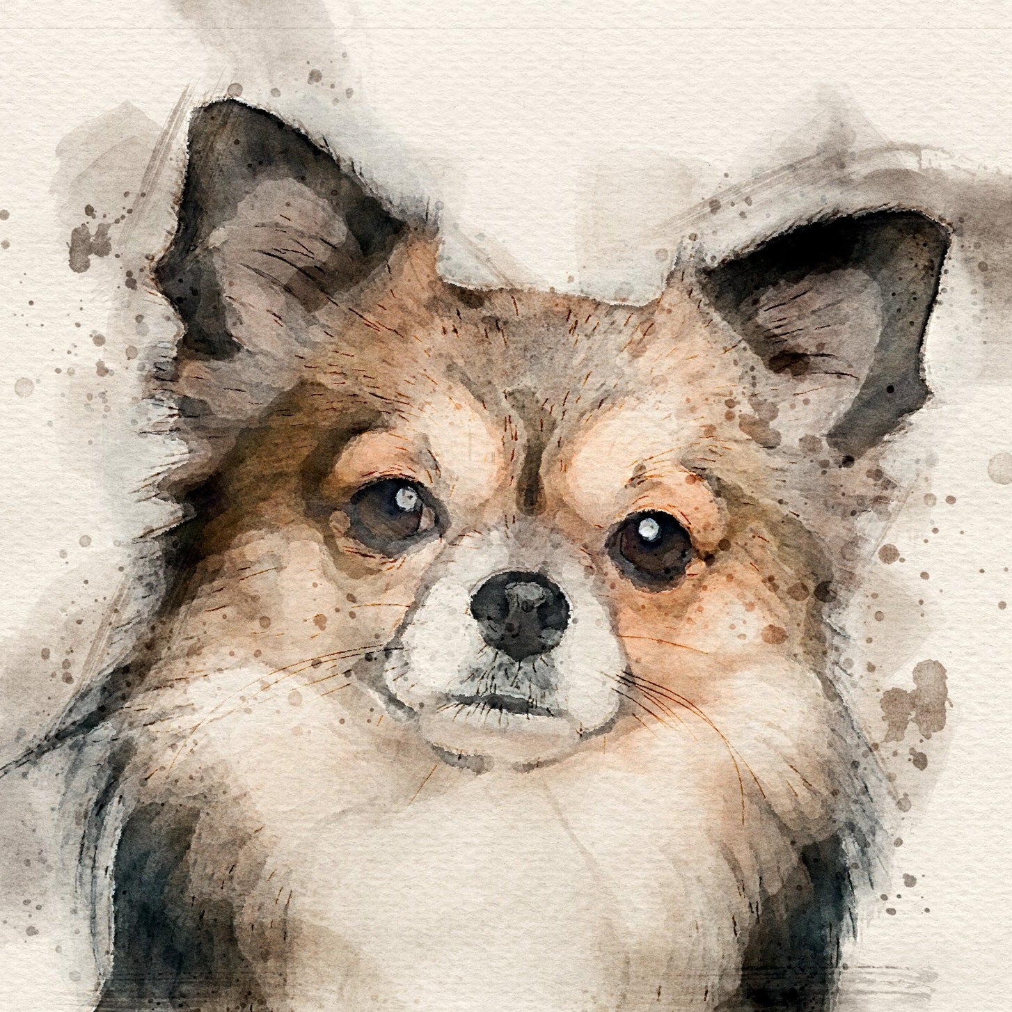 Digital Dog Portrait